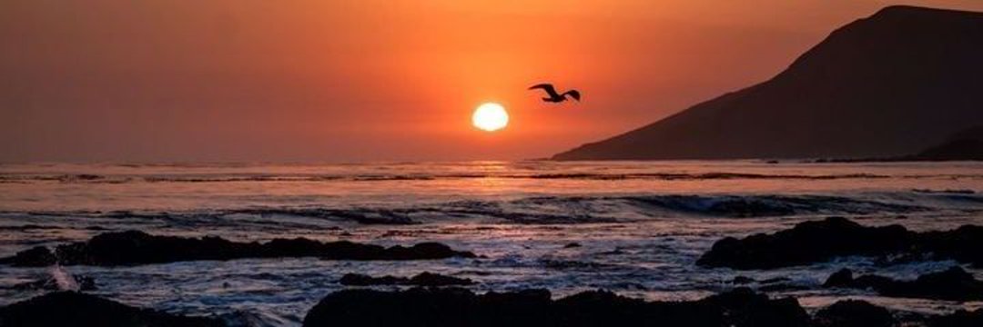 ابو تركي banner