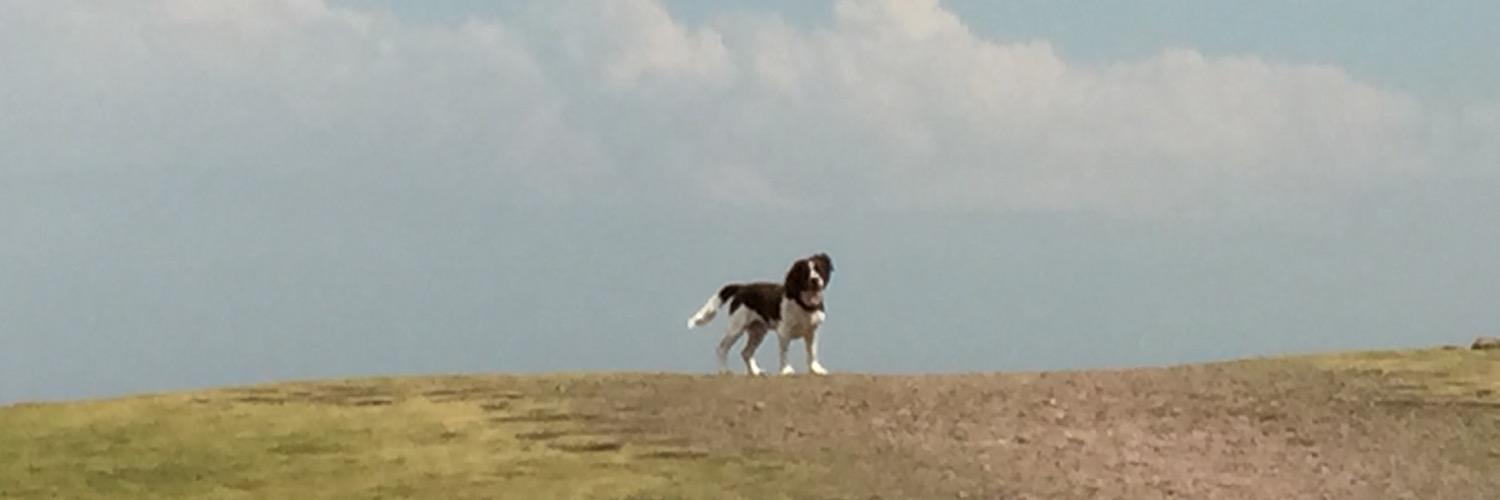 ZachFinney2's profile banner image