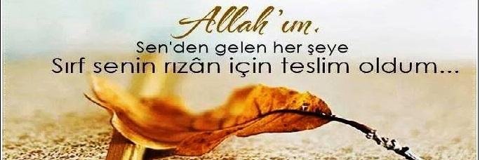 hi_erol's profile banner image