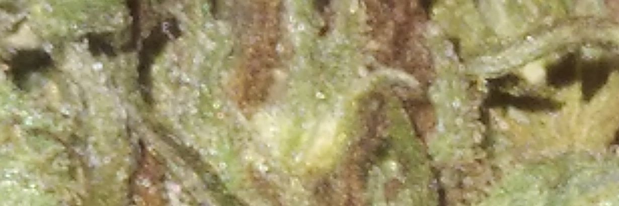 Cumshots169's profile banner image