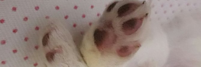 Martibiderbost's profile banner image