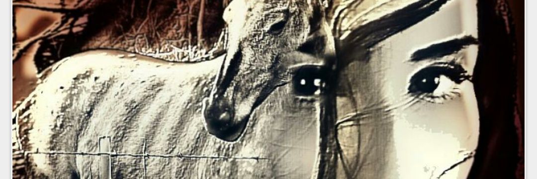 ZAKIAAMUR's profile banner image