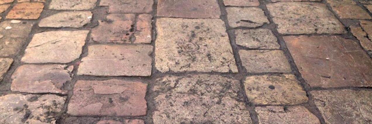 Salvador Palomar banner