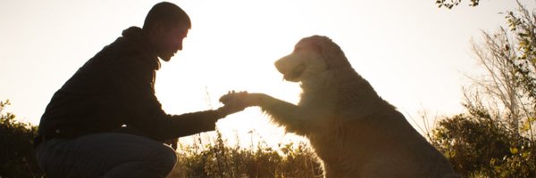 stuka345 Profile Banner