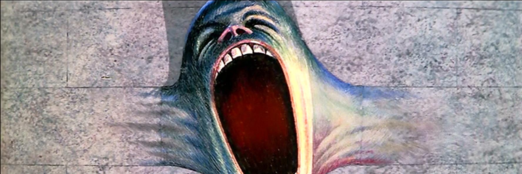 Silvia Baracani banner