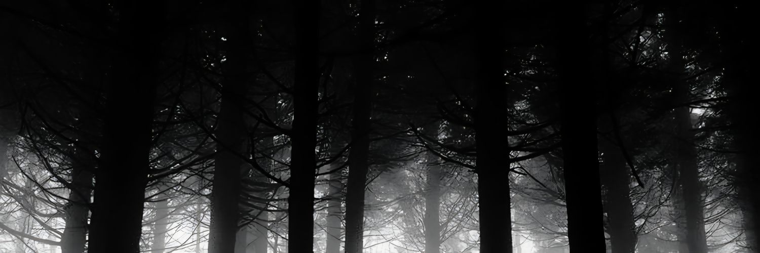 _mementomortem's profile banner image