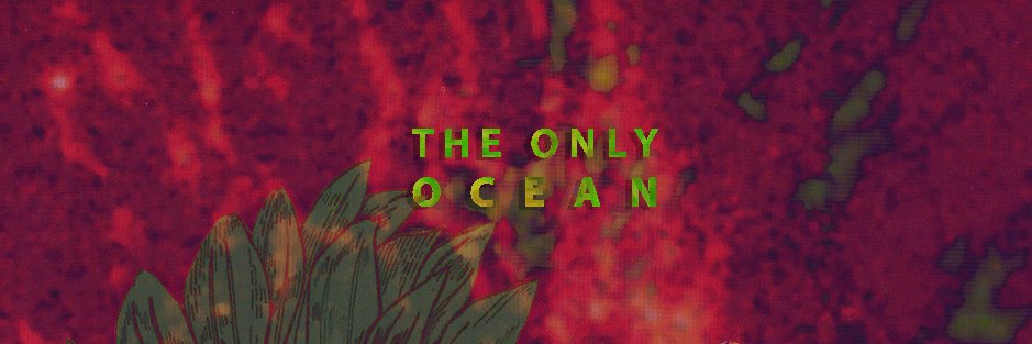 The Only Ocean banner