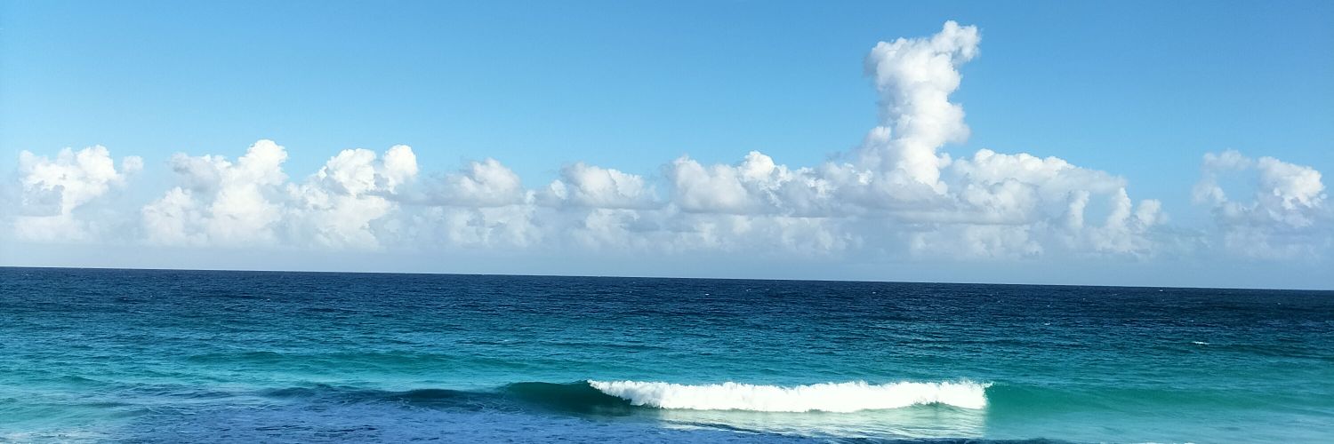 claudiaccy's profile banner image
