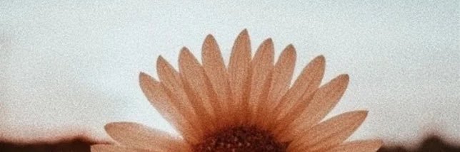 venus ✺ banner