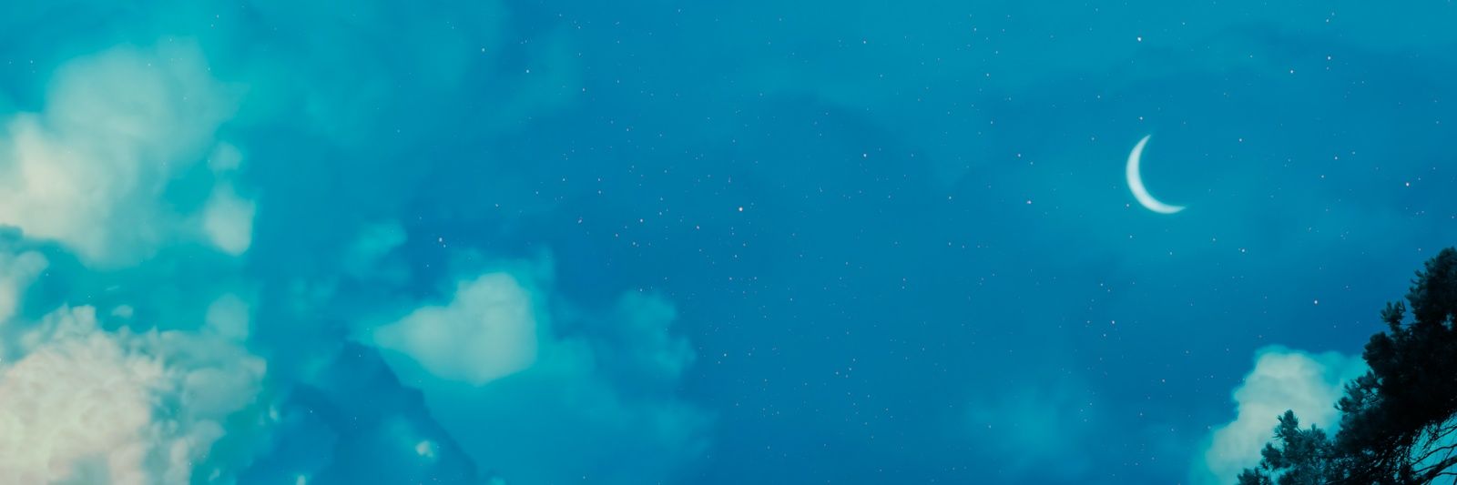 neus.who🦦 banner
