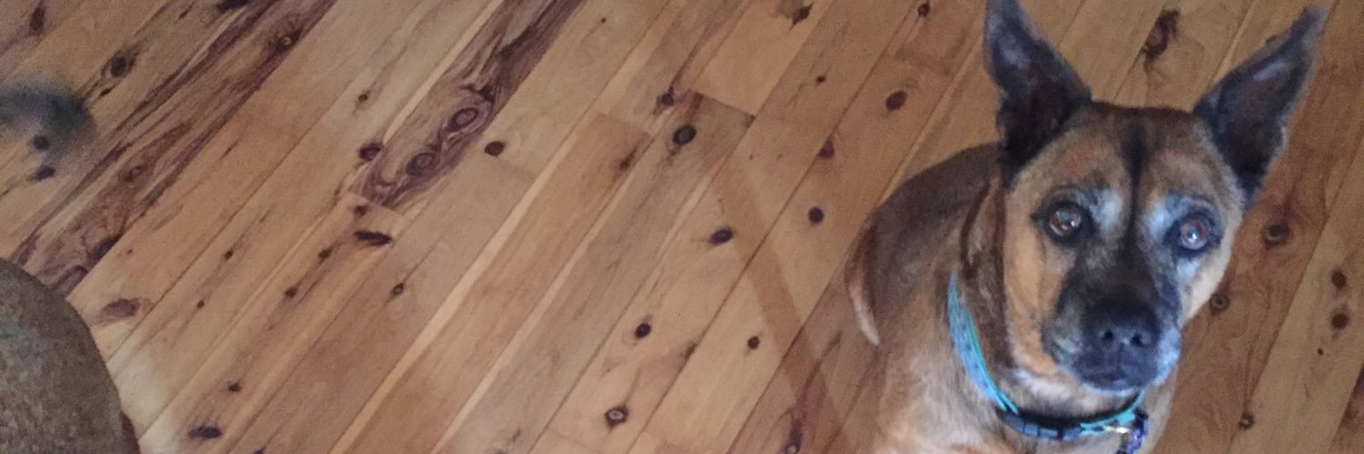 nerdkibble's profile banner image