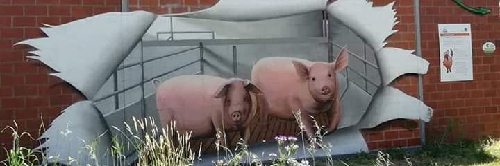 Andreas Puckert 🚜 🐖🍖🌽🌾🌻 banner