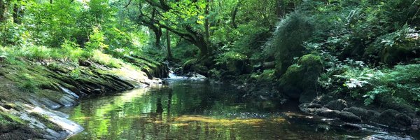 islomane Profile Banner