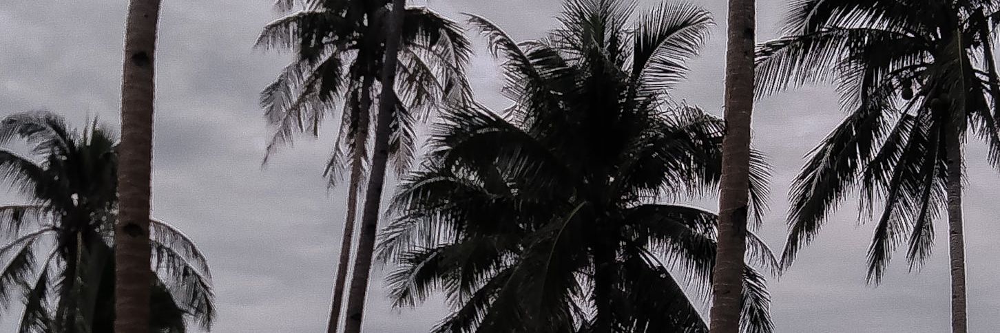 watchmedhey's profile banner image
