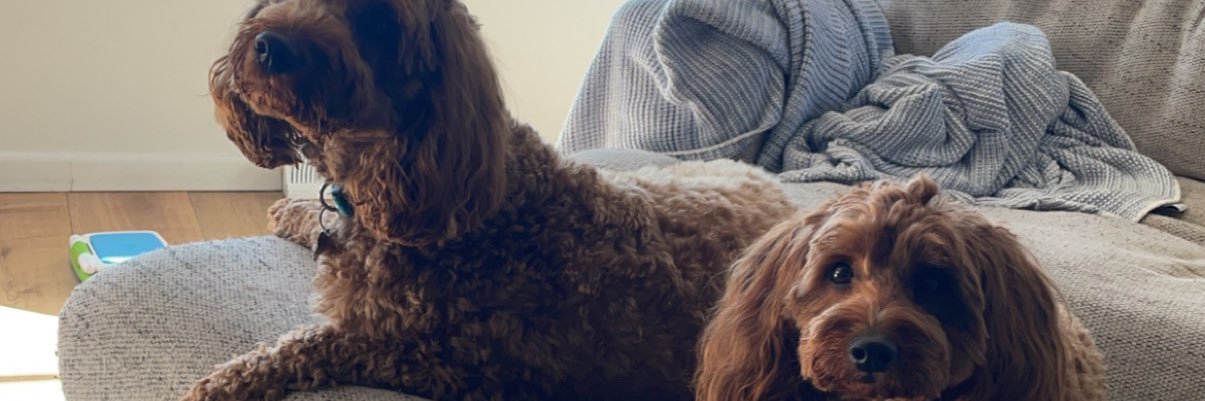 Geoff Beasley banner