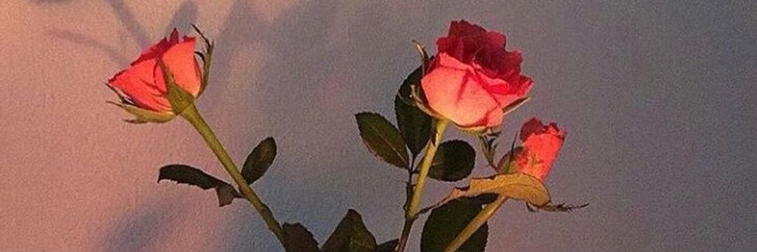 oWondering's profile banner image