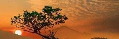roberto300025's profile banner image