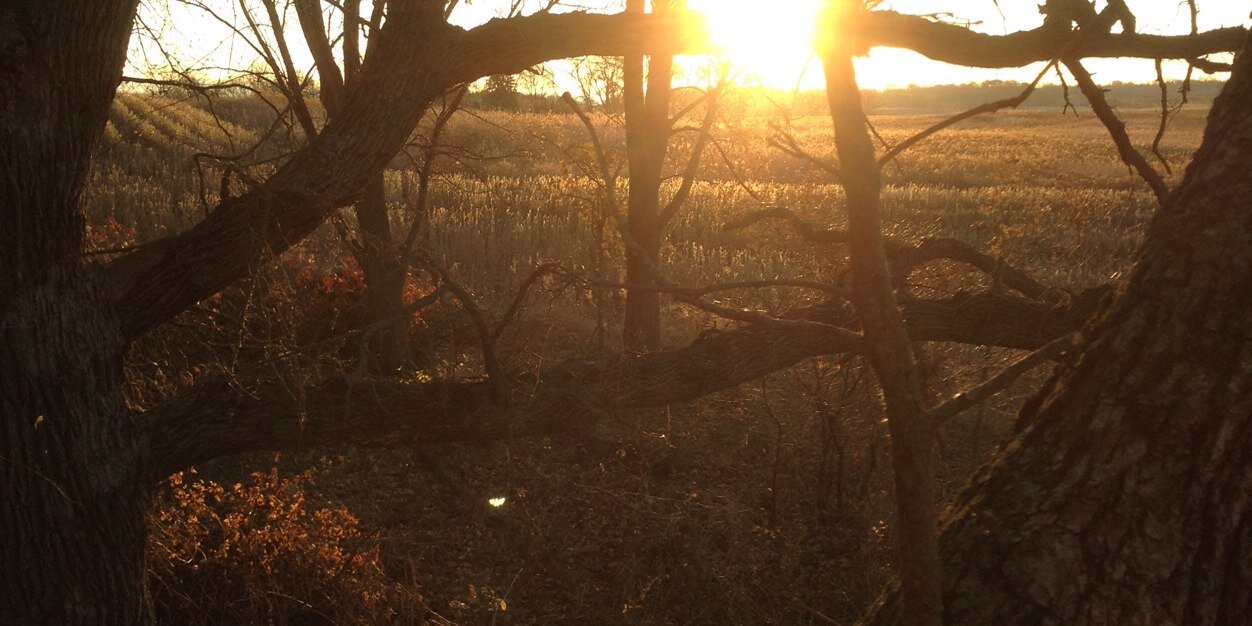 Massacre54's profile banner image