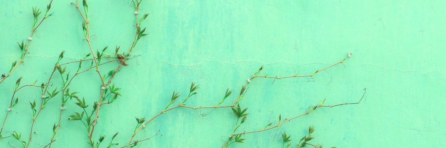 AMEL_VRC's profile banner image