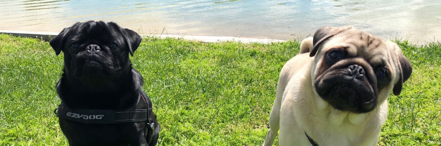 laus_rivers's profile banner image