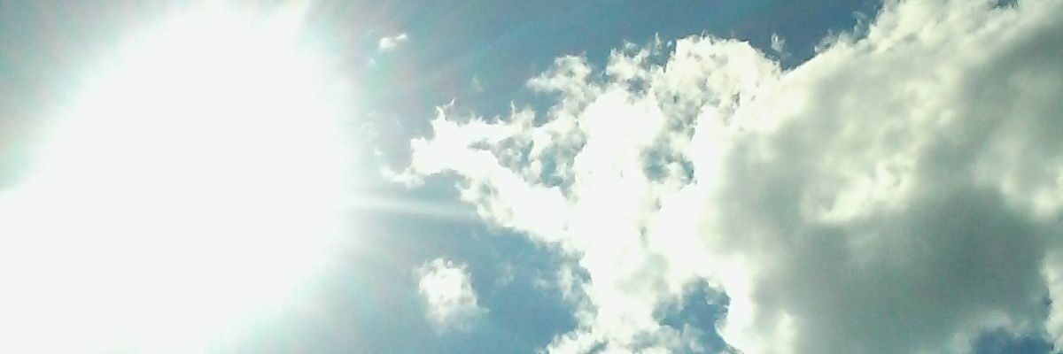 TDerka42016's profile banner image