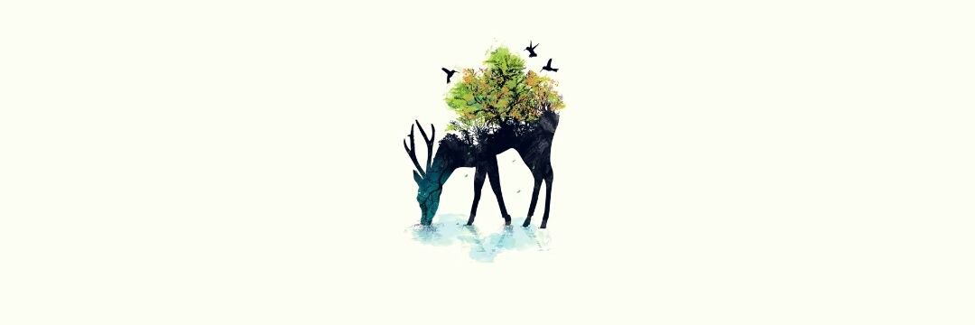 aymamiii's profile banner image