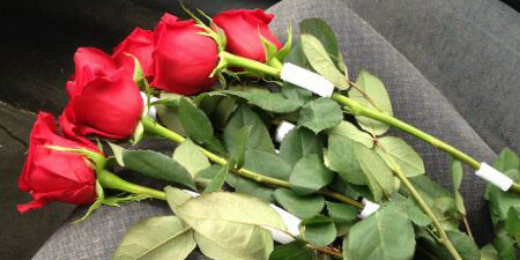 z_yolanda's profile banner image