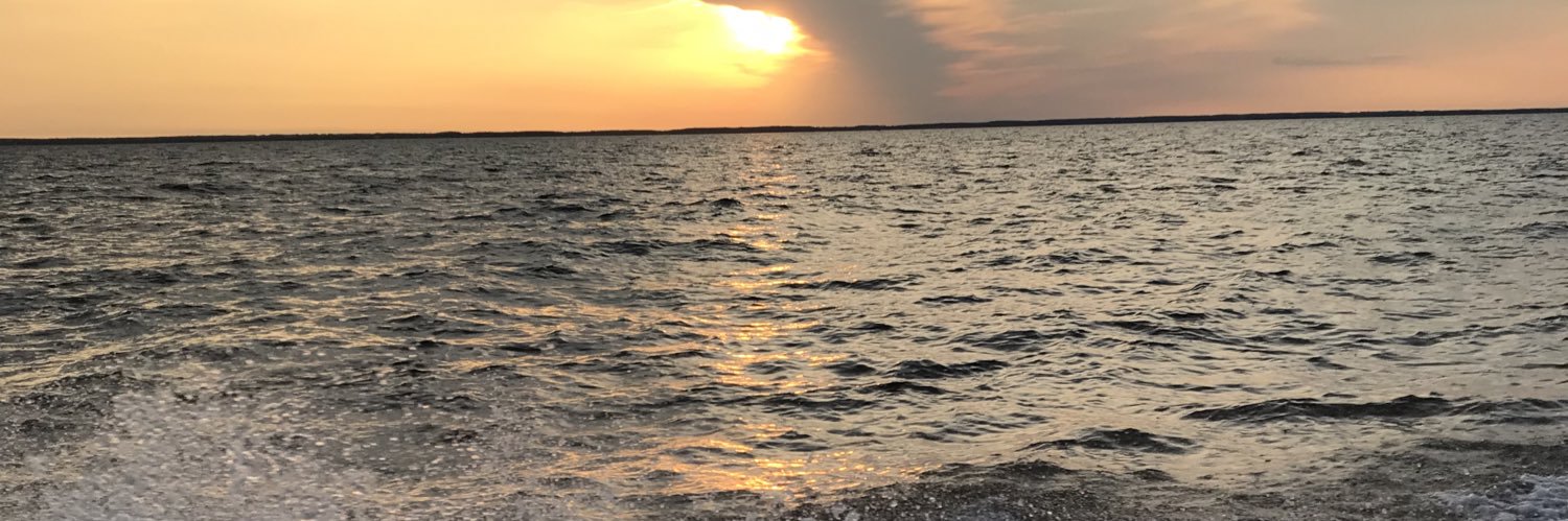 JoeyHinton5's profile banner image