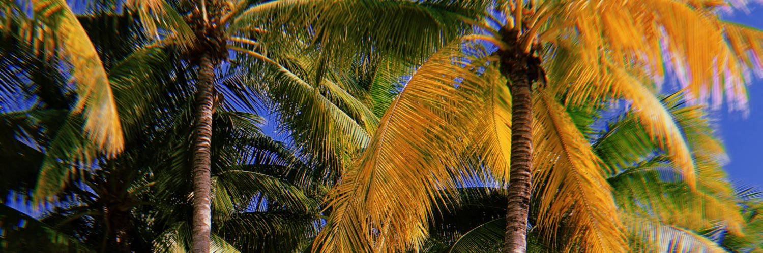 KaruRegnando's profile banner image