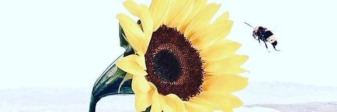 NattyCazares's profile banner image
