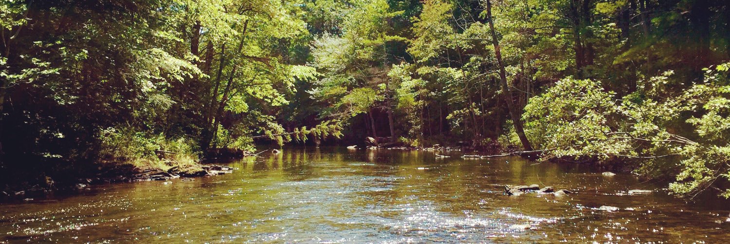 the_backwoods_'s profile banner image