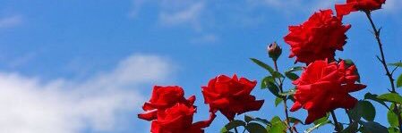 ekemp05's profile banner image
