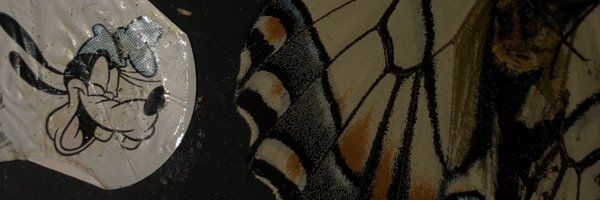 bisondewey Profile Banner