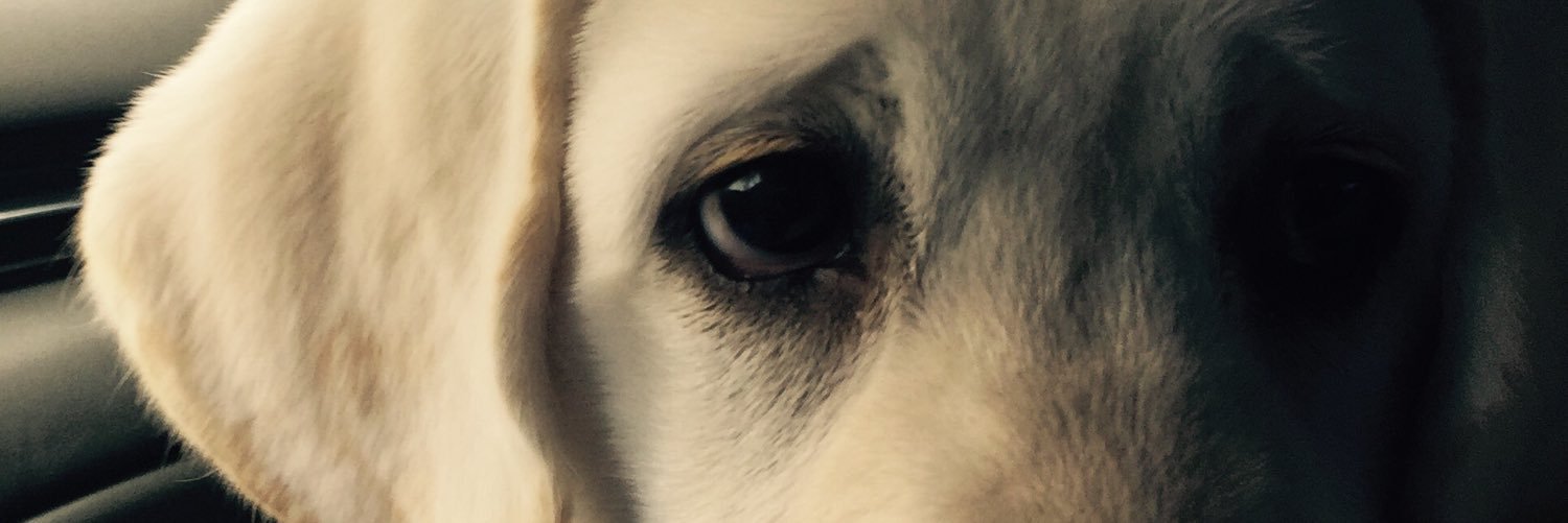 LandonWright_'s profile banner image