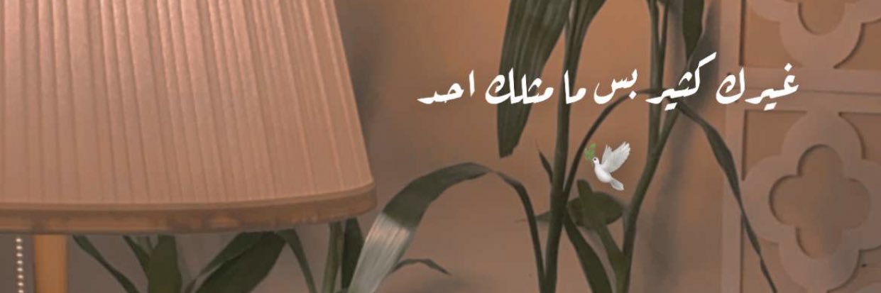 mnool_20105's profile banner image