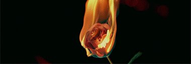 hakan_akb_'s profile banner image