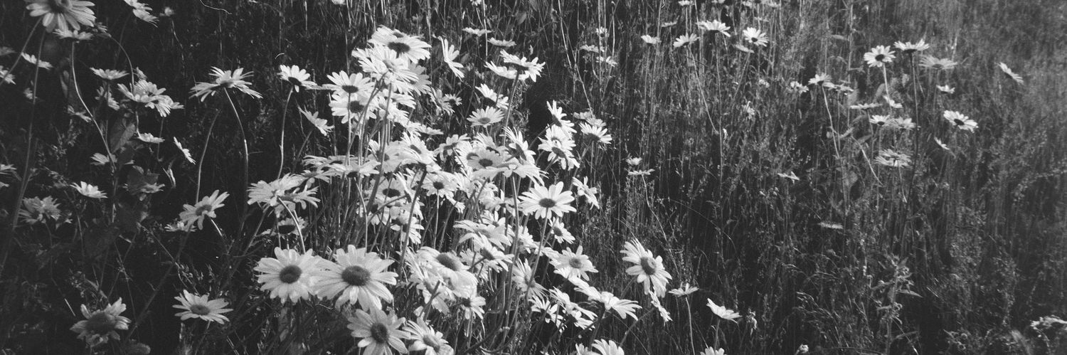 M1er's profile banner image