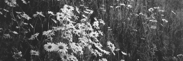 M1er Profile Banner