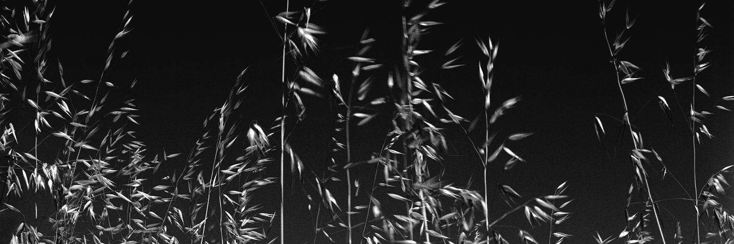 panoramicus's profile banner image