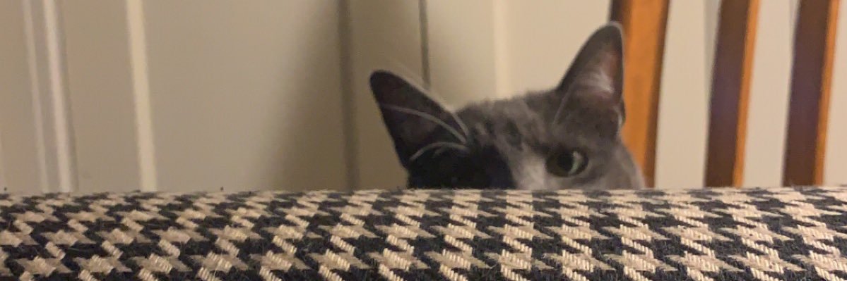 EllaDepressedto's profile banner image