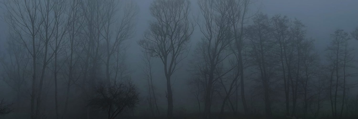 luadiea's profile banner image