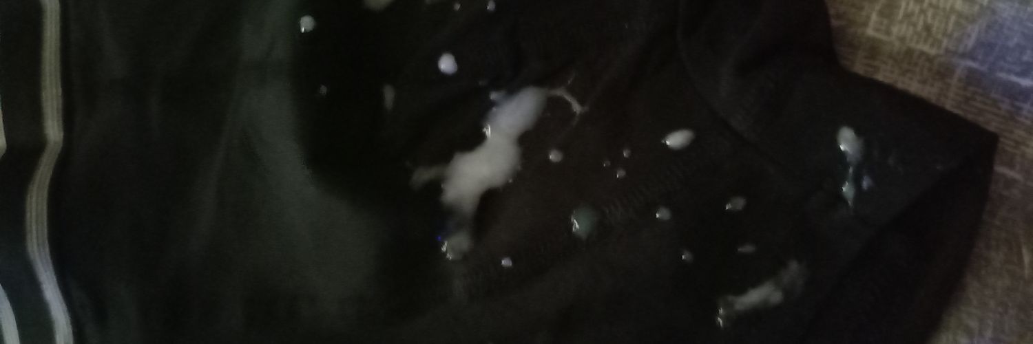 fluffylover88's profile banner image