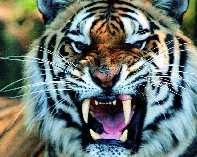jer_consorte's profile banner image