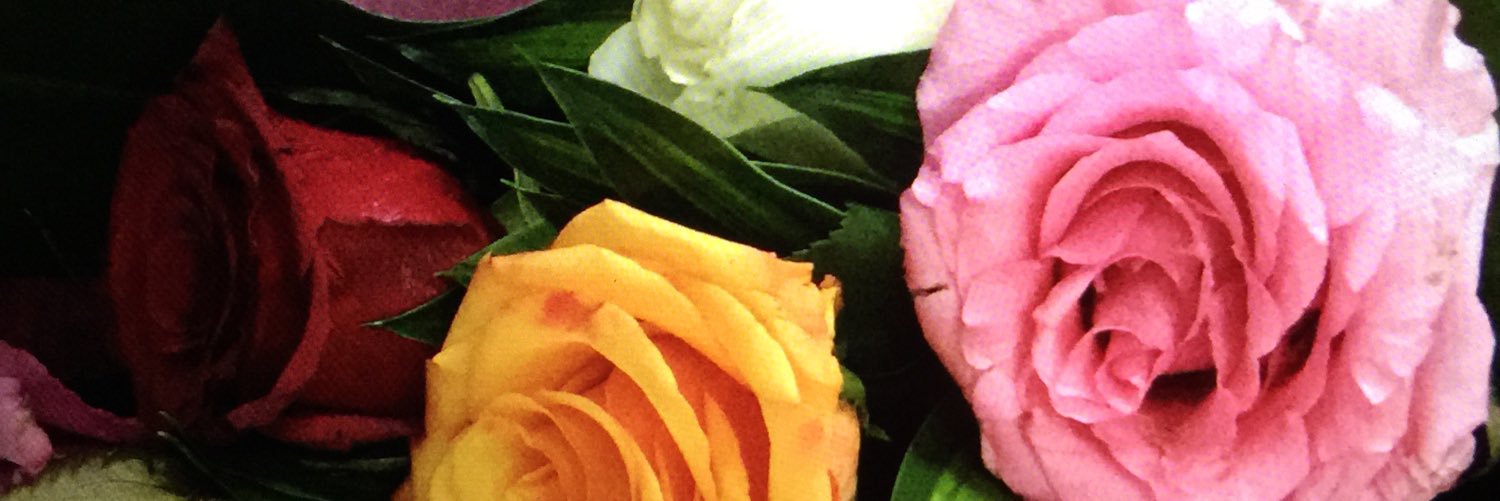 wardaljoory2016's profile banner image