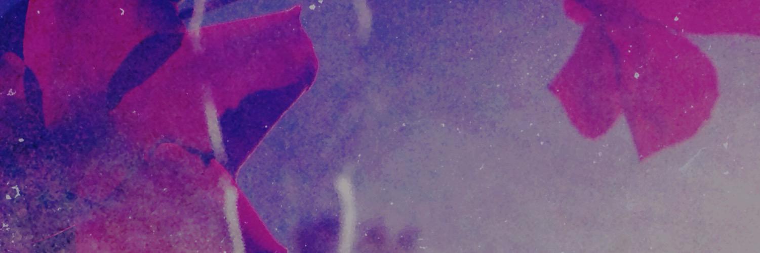 __mmmmmV's profile banner image