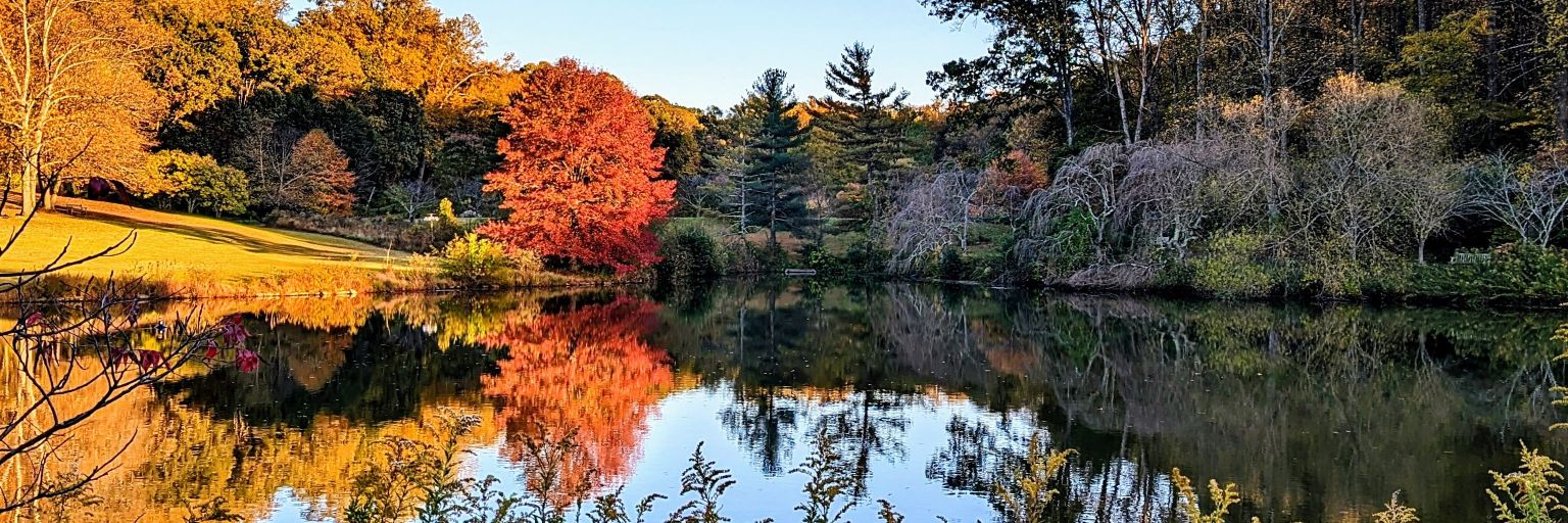 Alina 🔥 الينا banner