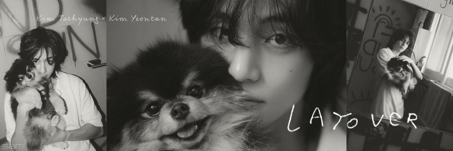 BTSarmy_7v's profile banner image
