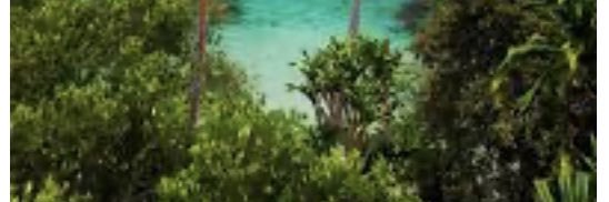 Mary365247 banner