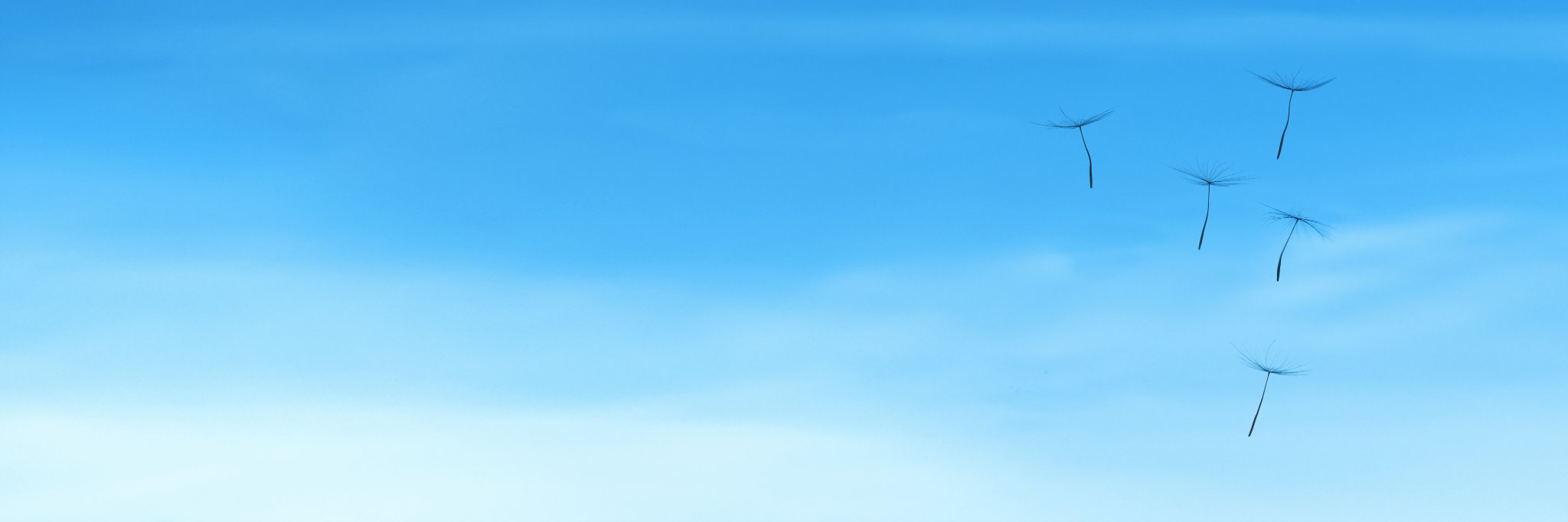 maheyfoto's profile banner image