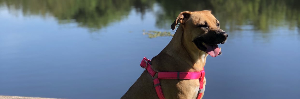 madisonnHTX's profile banner image